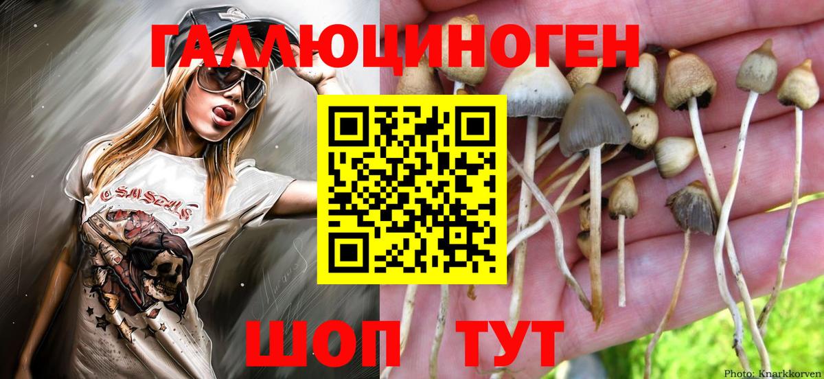 Еманжелинск  где купить наркотик  Вход с VPN  Псилоцибиновые грибы прущие грибы 